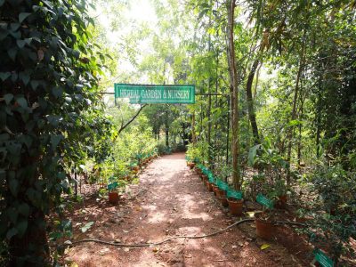 FL3A0147 Check out the top 10 Ayurvedic colleges in Kerala