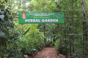 herbal garden