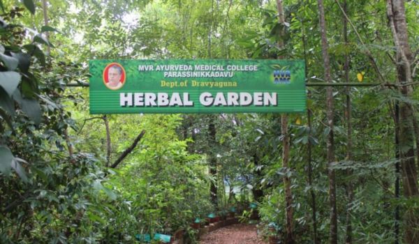 untitled design 2025 12 24t142621.887